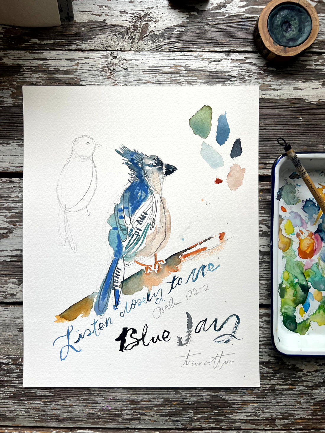 Blue Jay study TWO Psalm 102:2 11x14